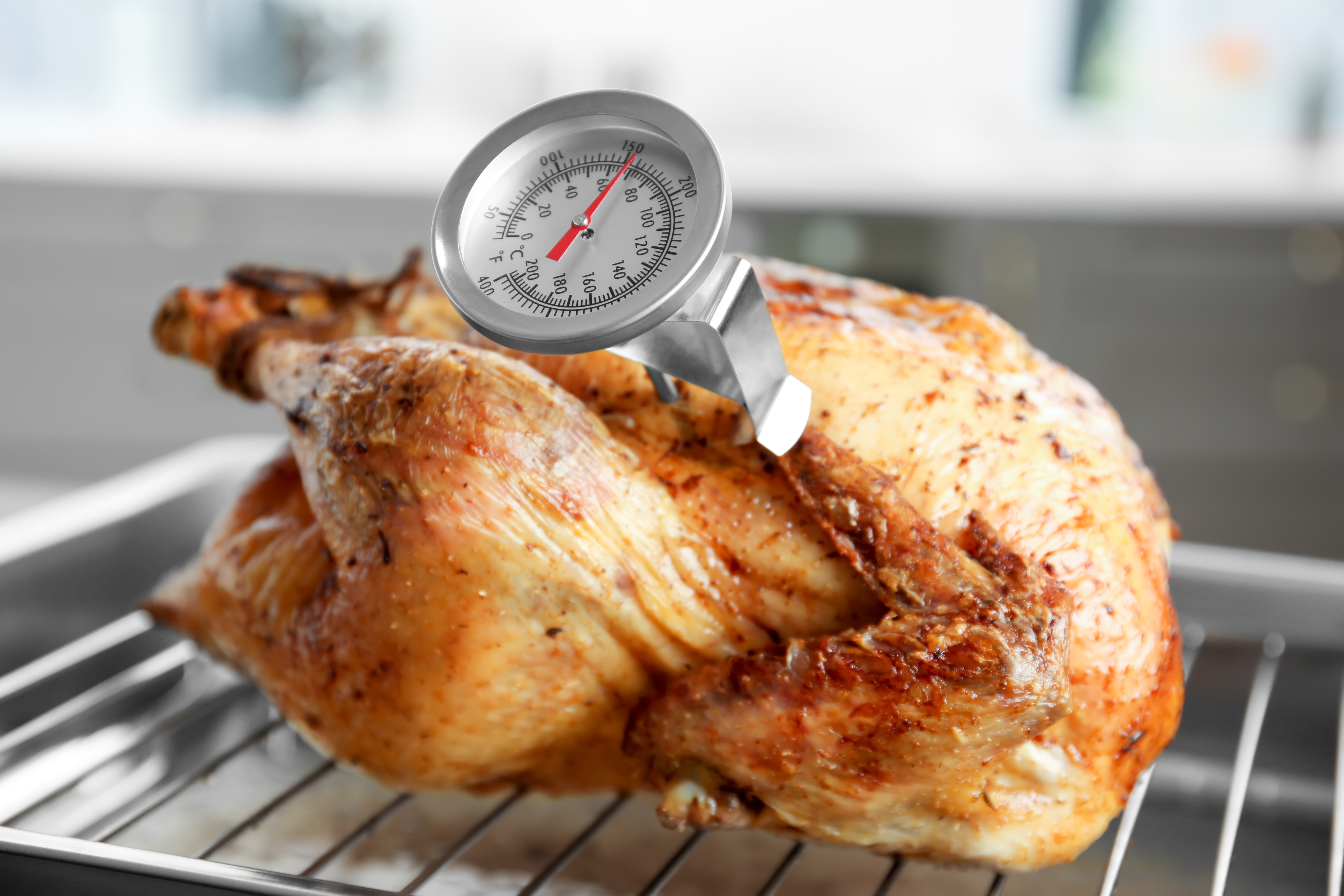 whole chicken with thermometer