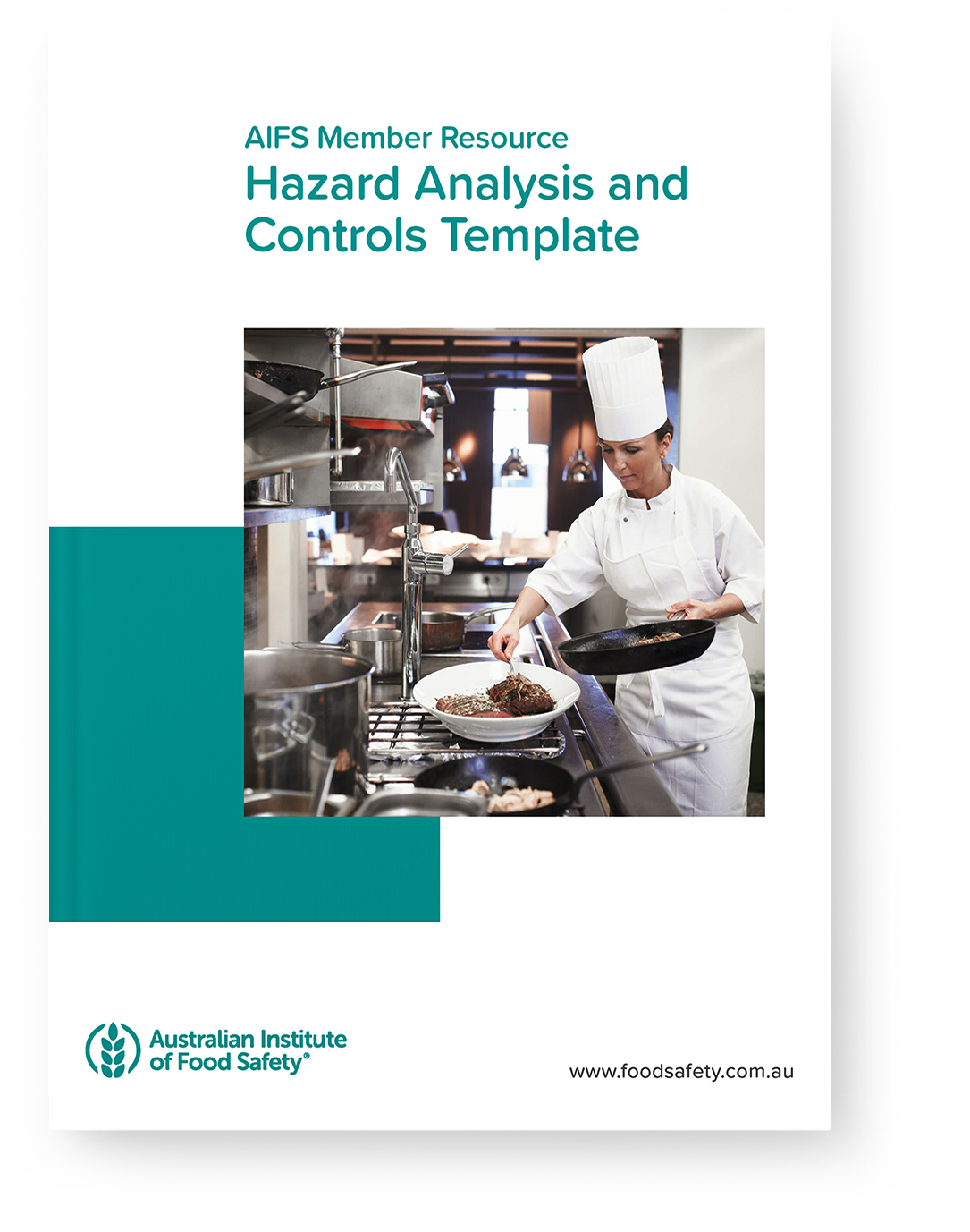 AIFS Hazard Analysis and Controls template